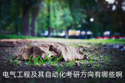 電氣工程及其自動化考研方向有哪些啊