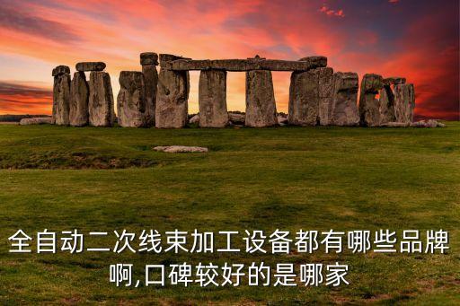 全自動二次線束加工設(shè)備都有哪些品牌啊,口碑較好的是哪家