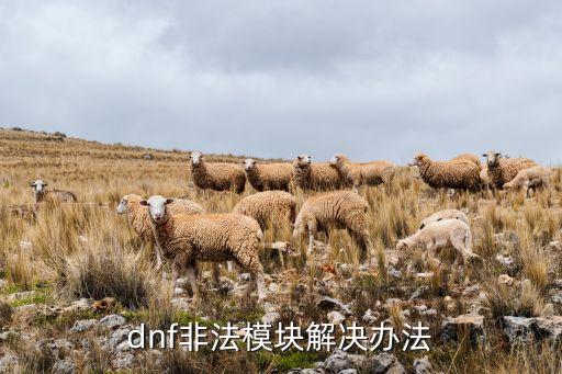 feifa,沸反盈天