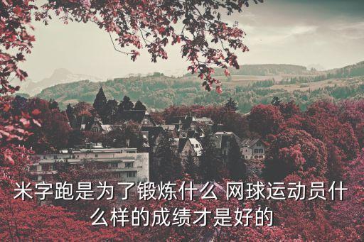 網(wǎng)球 大數(shù)據(jù),中國網(wǎng)球人口數(shù)據(jù)圖