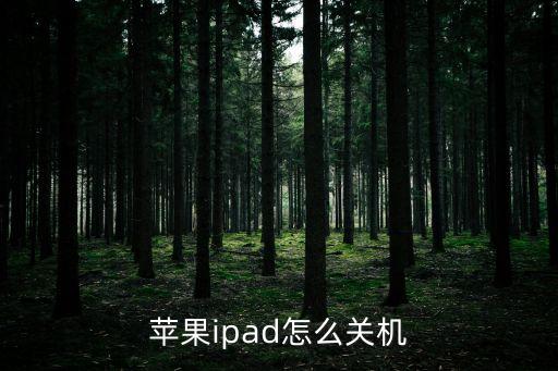 蘋果ipad怎么關(guān)機(jī)