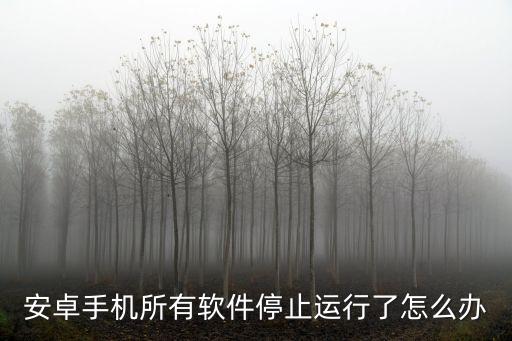 安卓4.42數(shù)據(jù)服務(wù)已禁用,怎么解決?安卓的se已禁用