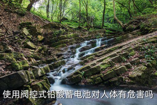 閥控式鉛酸蓄電池，使用閥控式鉛酸蓄電池對人體有危害嗎