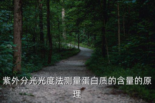 紫外分光光度法測(cè)量蛋白質(zhì)的含量的原理