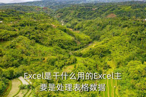 Excel是干什么用的Excel主要是處理表格數(shù)據(jù)
