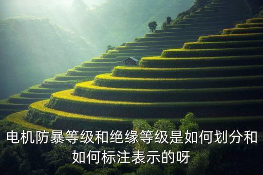 電機(jī)防暴等級(jí)和絕緣等級(jí)是如何劃分和如何標(biāo)注表示的呀