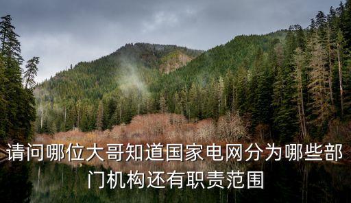 請(qǐng)問(wèn)哪位大哥知道國(guó)家電網(wǎng)分為哪些部門機(jī)構(gòu)還有職責(zé)范圍