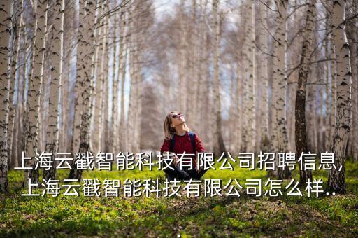 上海云戳智能科技有限公司招聘信息,上海云戳智能科技有限公司怎么樣...