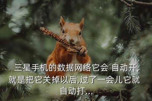三星s4自動(dòng)開啟數(shù)據(jù)網(wǎng)絡(luò)設(shè)置