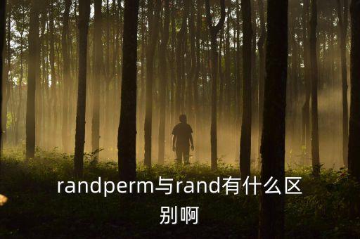 randperm與rand有什么區(qū)別啊