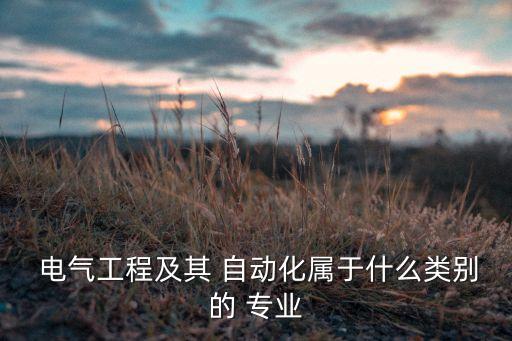 電氣工程及其 自動(dòng)化屬于什么類(lèi)別的 專(zhuān)業(yè)