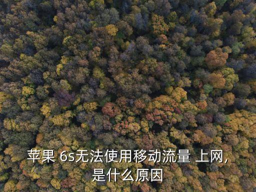 6s手機不能用數(shù)據(jù)上網(wǎng)嗎