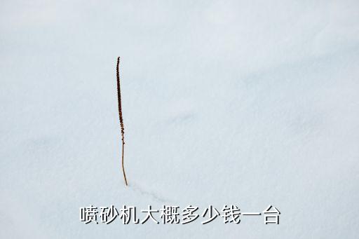 噴砂機(jī)大概多少錢一臺(tái)
