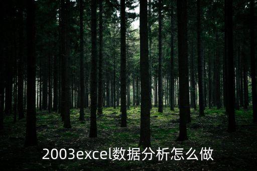 2003excel數(shù)據(jù)分析怎么做