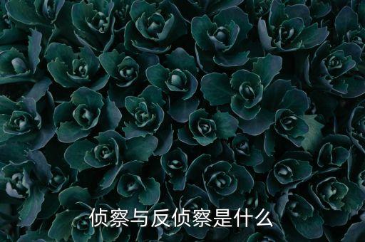 偵察與反偵察是什么