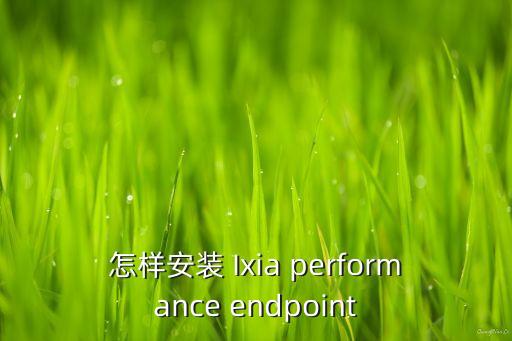怎樣安裝 Ixia performance endpoint