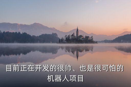 波士頓動力公司現(xiàn)貨微型機器人