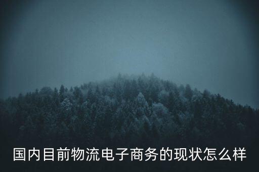 西安亞歐電氣自動化,西安怎樣成為國際化大都市?