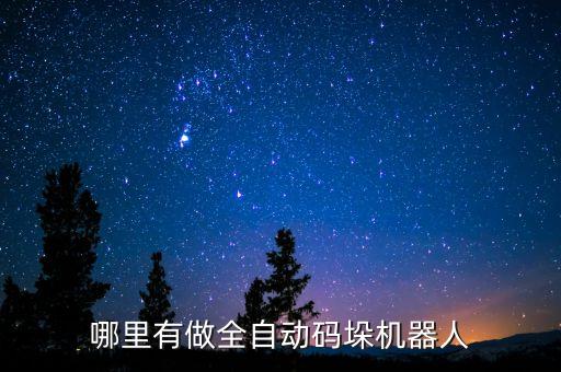 哪里有做全自動碼垛機器人