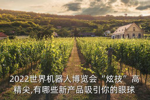 2022世界機(jī)器人博覽會(huì)“炫技”高精尖,有哪些新產(chǎn)品吸引你的眼球