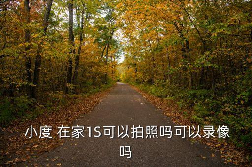 小度在家1s