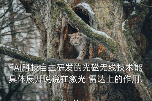 EAI科技自主研發(fā)的光磁無(wú)線技術(shù)能具體展開(kāi)說(shuō)說(shuō)在激光 雷達(dá)上的作用...