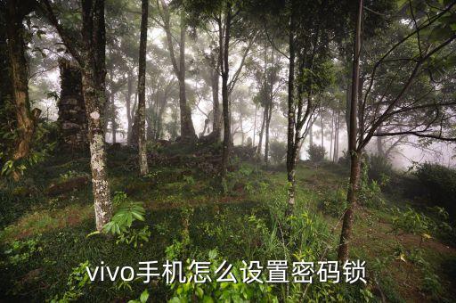 手機(jī)密碼鎖，vollo手機(jī)密碼鎖怎么破解