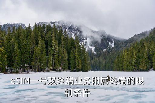 一號雙終端，eSIM一號雙終端業(yè)務(wù)附屬終端的限制條件