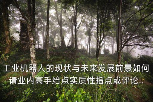 工業(yè)機(jī)器人的現(xiàn)狀與未來發(fā)展前景如何請(qǐng)業(yè)內(nèi)高手給點(diǎn)實(shí)質(zhì)性指點(diǎn)或評(píng)論...