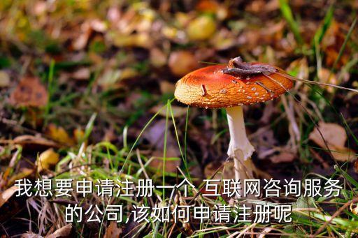 我想要申請注冊一個 互聯(lián)網(wǎng)咨詢服務的公司,該如何申請注冊呢