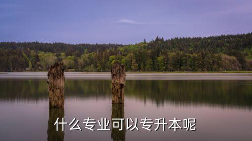 什么專業(yè)可以專升本呢