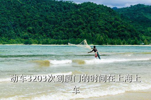 動(dòng)車3203次到廈門的時(shí)間在上海上車