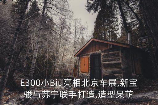 E300小Biu亮相北京車展,新寶駿與蘇寧聯(lián)手打造,造型呆萌