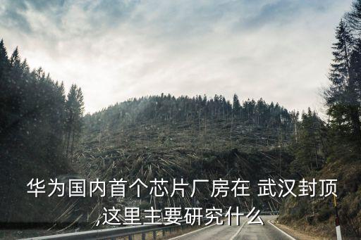  華為國內(nèi)首個(gè)芯片廠房在 武漢封頂,這里主要研究什么