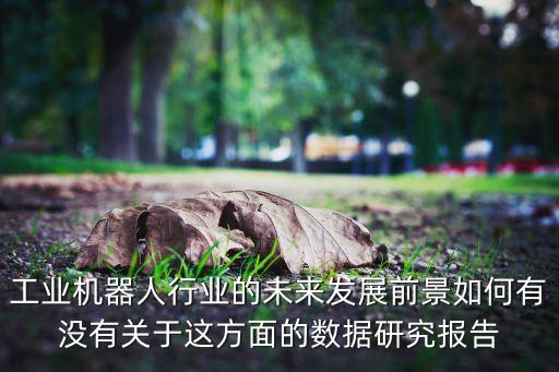 工業(yè)機(jī)器人行業(yè)的未來(lái)發(fā)展前景如何有沒(méi)有關(guān)于這方面的數(shù)據(jù)研究報(bào)告