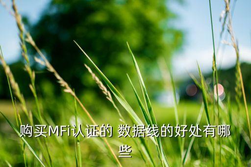 購買MFi認證的 數(shù)據(jù)線的好處有哪些