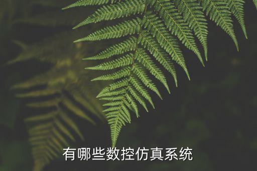仿真模擬系統(tǒng)，有哪些數(shù)控仿真系統(tǒng)