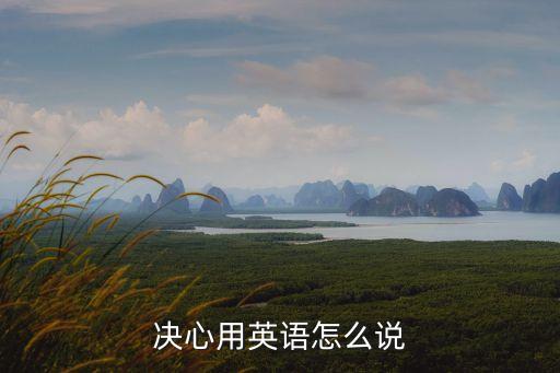netion，決心用英語(yǔ)怎么說(shuō)