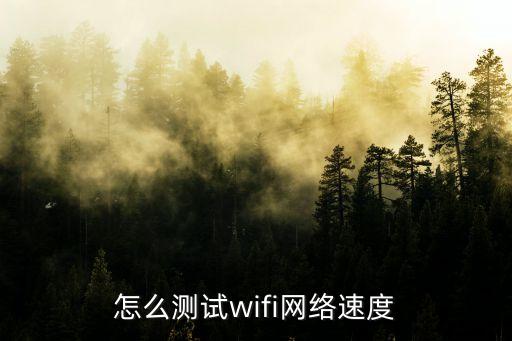 怎么測試wifi網(wǎng)絡速度