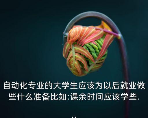 自動化專業(yè)的大學(xué)生應(yīng)該為以后就業(yè)做些什么準(zhǔn)備比如:課余時間應(yīng)該學(xué)些...