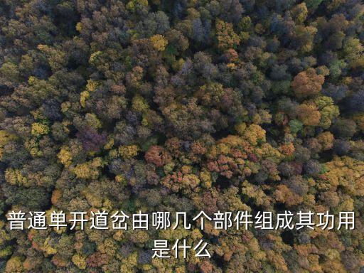 普通單開道岔由哪幾個(gè)部件組成其功用是什么