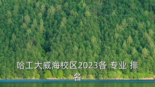 哈工大威海校區(qū)2023各 專業(yè) 排名