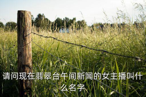 請(qǐng)問(wèn)現(xiàn)在翡翠臺(tái)午間新聞的女主播叫什么名字