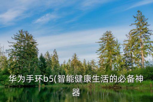 華為手環(huán)b5(智能健康生活的必備神器
