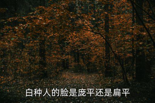 龐平，白種人的臉是龐平還是扁平