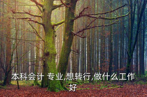 本科會計(jì) 專業(yè),想轉(zhuǎn)行,做什么工作好