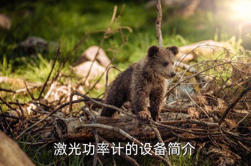 激光功率計(jì)的設(shè)備簡介