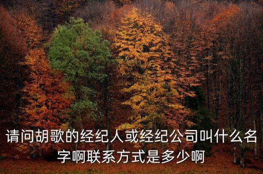 請(qǐng)問(wèn)胡歌的經(jīng)紀(jì)人或經(jīng)紀(jì)公司叫什么名字啊聯(lián)系方式是多少啊
