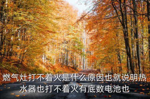 燃?xì)庠畲虿恢鹗鞘裁丛蛞簿驼f明熱水器也打不著火有底數(shù)電池也