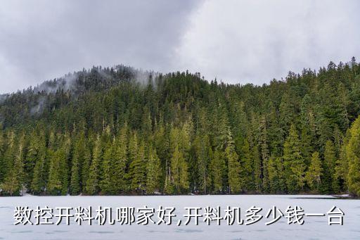 數(shù)控開料機(jī)哪家好,開料機(jī)多少錢一臺(tái)